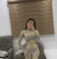 Jenny - Transsexual escort in Riyadh