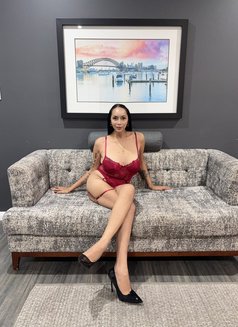 Jenny - puta in Hong Kong Photo 8 of 9