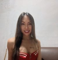 Jenny - Transsexual escort in Cebu City