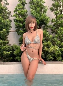 Jenny hot top for you🇹🇭big cum - Transsexual escort in Bangkok Photo 10 of 26