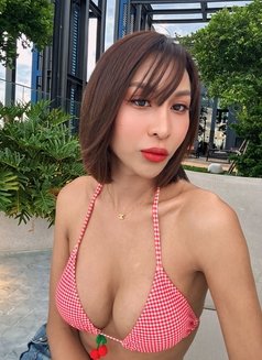 Jenny hot top for you - Transsexual escort in Bangkok Photo 25 of 26