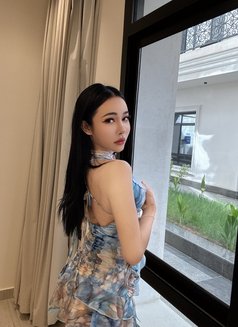⚜️Jenny Ladyboy Big cock - Transsexual escort in Riyadh Photo 28 of 30