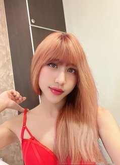 Jenny ladyboy (shemale) Vietnamese - Transsexual escort in Ho Chi Minh City Photo 19 of 27