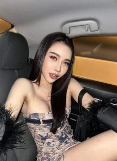 ⚜️Jenny New Ladyboy Business bay - Transsexual escort in Bangkok Photo 4 of 11