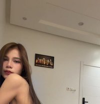 Jenny new girl - puta in Riyadh