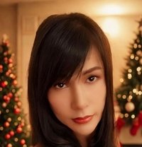 Jenny Samui - Transsexual escort in Ko Samui