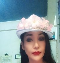 Jenny Samui - Transsexual escort in Ko Samui
