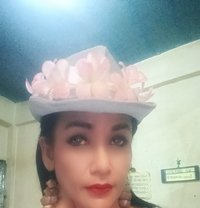 Jenny Samui - Transsexual escort in Ko Samui