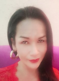 Jenny Samui - Transsexual escort in Ko Samui Photo 13 of 26