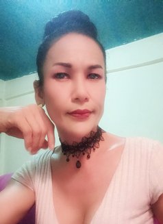 Jenny Samui - Transsexual escort in Ko Samui Photo 15 of 26