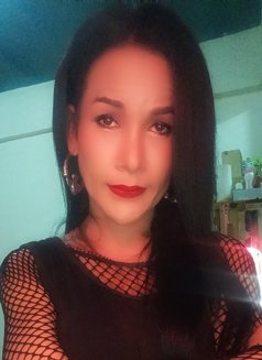 Jenny Samui - Transsexual escort in Ko Samui Photo 19 of 26