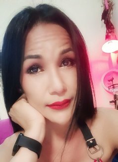 Jenny Samui - Transsexual escort in Ko Samui Photo 23 of 26