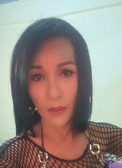 Jenny Samui - Transsexual escort in Ko Samui Photo 26 of 26