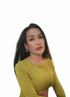 Jenny Samui - Transsexual escort in Ko Samui Photo 26 of 26