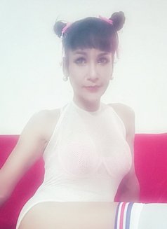 Jenny Samui - Transsexual escort in Ko Samui Photo 24 of 29
