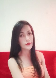 Jenny Samui - Transsexual escort in Ko Samui Photo 24 of 29