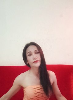 Jenny Samui - Transsexual escort in Ko Samui Photo 25 of 29