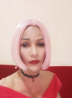 Jenny Samui - Transsexual escort in Ko Samui Photo 21 of 30