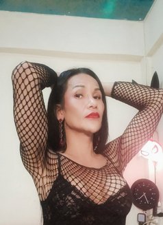 Jenny Samui - Transsexual escort in Ko Samui Photo 22 of 30