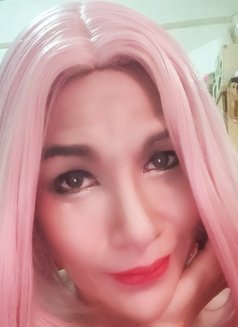 Jenny Samui - Transsexual escort in Ko Samui Photo 30 of 30