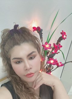 Jenny - escort in Muscat Photo 7 of 12