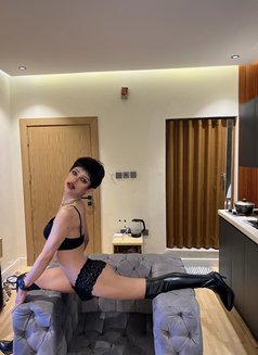 ~•.• 🦋~Jenny~🦋 •.•~ - Transsexual escort in Riyadh Photo 14 of 16