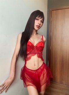 Jenny vietnamese - Acompañantes transexual in Ho Chi Minh City Photo 24 of 25