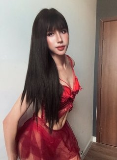 Jenny vietnamese - Acompañantes transexual in Ho Chi Minh City Photo 25 of 25