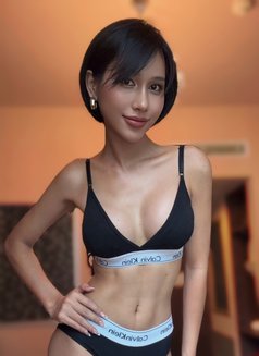 Jenny vietnamese - Transsexual escort in Ho Chi Minh City Photo 29 of 29