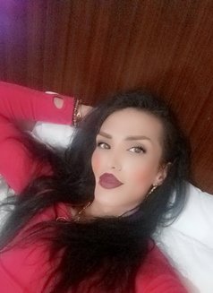 Jenyy - Transsexual escort in Beirut Photo 4 of 6