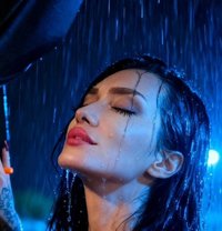 Jenyy - Transsexual escort in Beirut