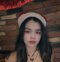 Jerin New - escort in Dammam