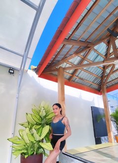 Jesikaa trans cantik - Transsexual escort in Bali Photo 2 of 2