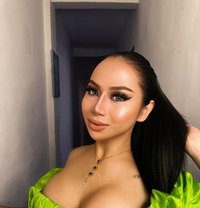 YOUNA YOUNG 8 INCHI TOP MORE DOM🫦 - Acompañantes transexual in Bali