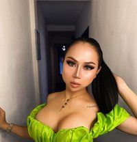 YOUNA YOUNG 8 INCHI TOP MORE DOM🫦 - Acompañantes transexual in Bali