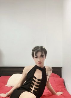 Jess - Acompañantes transexual in Muscat Photo 7 of 8