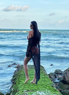 Jessi - Transsexual escort in Ko Samui Photo 3 of 3