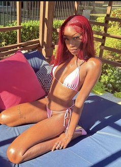 Jessica blowjob queen - escort in Dubai Photo 3 of 5