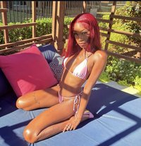 Jessica blowjob queen - puta in Dubai