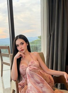 Michell Sexy Ladyboy 🫦 - Transsexual escort in Khobar Photo 16 of 16