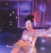 Jessica Crobbra in Doha Premium Ladyboy - Transsexual escort in Al Manama