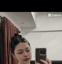 Jessica Johor Bahru - Transsexual escort in Johor Bahru