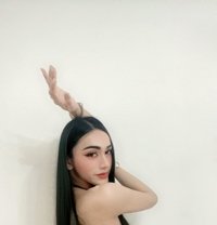 Jessica - Transsexual escort in Şalālah