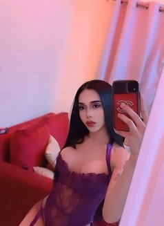 Jessica Lady boy Thailand 🇹🇭 - Acompañantes transexual in Muscat Photo 16 of 22