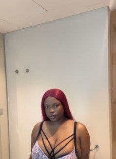 Jessicadime Zambia - escort in Dubai Photo 1 of 5