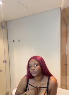 Jessicadime Zambia - escort in Dubai Photo 5 of 5