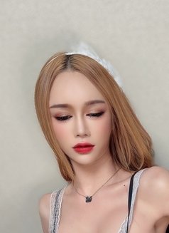 Jessie in Gangnam - Transsexual escort in Seoul Photo 1 of 5