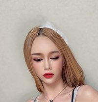 Jessie in Gangnam - Transsexual escort in Seoul