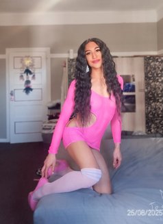 Jessie J - Transsexual escort in Cape Town Photo 8 of 10