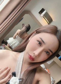 Jessika - Acompañantes transexual in Doha Photo 1 of 18